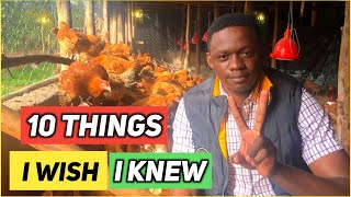 10 Things I Wish I Knew Before Starting A Poultry Farm [upl. by Weatherley]