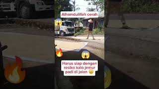 Tanggung resiko pak tani funnyvideo jemurpadi [upl. by Itsym]