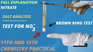 Test for nitrate ion No3  brown ring test  class 11th and 12th Salt analysis saltanalysis [upl. by Herring791]