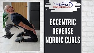 Eccentric Reverse Nordic Curl [upl. by Reaht]