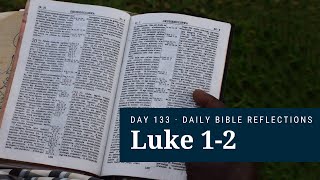 DAY 133  Luke 12  The Bible in A Year [upl. by Shelbi]