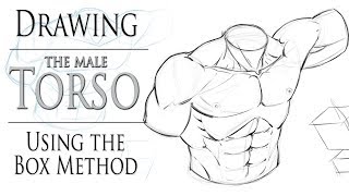 Drawing the Male Torso  Boxing in Method [upl. by Loris975]