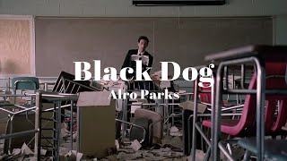 우울한 네 옆에 있어줄게 Arlo Parks  Black Dog 가사해석 [upl. by Bailie]