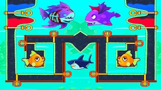 Save The Fish  Fish Game  Pro Fish  Save The Fish Level 5611 To 5640 [upl. by Patrich]