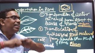 Biology X Transportation in Plants [upl. by Elocin]