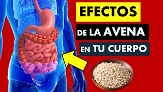 🔴 AVENA  INCREIBLES BENEFICIOS para TU SALUD  QUÉ PASA CUANDO CONSUMES AVENA TODOS LOS DÍAS [upl. by Efthim]