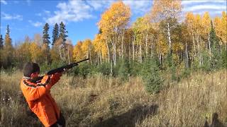 20 Guage mossberg 500 vs Winchester SXP [upl. by Nitsrik]