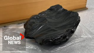 Rare obsidian artifact found in Edmonton couples backyard puzzling experts [upl. by Hsetih]