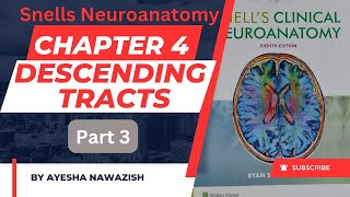 Descending tracts part 3  Chapter 4 Snells Neuroanatomy [upl. by Fraase973]