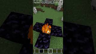 Minecraft 1x1 nether portal in Minecraft free edition 💀shorts [upl. by Aleunamme]