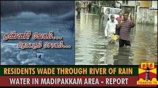 Residents Wade Through a River of Stagnant Rain Water in Madipakkam Area  Thanthi TV [upl. by Oribelle697]