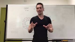 Gram Positive ve vs Gram Negative ve Bacteria [upl. by Proudlove]