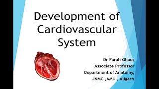 Development of Cardiovascular System [upl. by Murat]