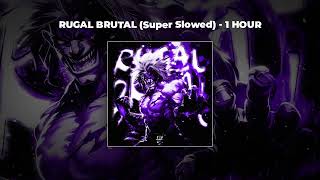 1 HOUR PHONK DJ PROIBIDO  RUGAL BRUTAL Super Slowed [upl. by Petua]