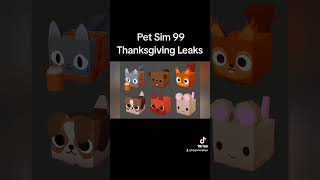 Pet Sim 99 Thanksgiving Leaks [upl. by Cuhp279]