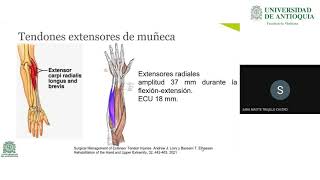 Lesión de los Tendones Extensores de la Mano  Dra Sara Maitte Trujillo [upl. by Alya]