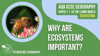 Why are Ecosystems Important  AQA GCSE Geography  Ecosystems 2 [upl. by Ahsieym]