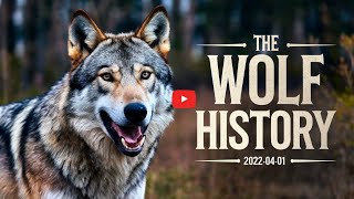 Wolves Through The Ages Evolution Myths And Survival [upl. by Artep526]