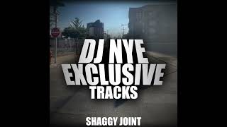 DJ NYE  IT WASN’T ME  SHAGGY JOINT [upl. by Sokram957]