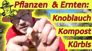 Gartenrundgang Knoblauch pflanzen Kompost pflegen Kürbis ernten mit Outtakes [upl. by Olethea]