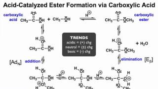 Mechanisms of Ester Formation pH amp Acyl Substitution [upl. by Light324]