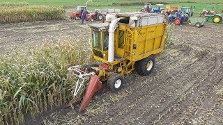 Hesston Field Queen  Classic harvesting [upl. by Frame183]