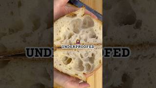 Sourdough bread fail Underproofed dough shorts youtubeshorts bread baking food homemade [upl. by Mlehliw263]