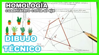 HOMOLOGÍA  EBAU Extremadura 2020 RECTÁNGULO homólogo que corta✂️ al eje✅ [upl. by Nanerb543]