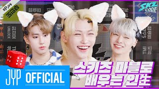 스키즈 마블로 배우는 인生 1｜SKZ CODE Ep04 [upl. by Piero400]