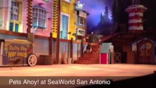 Pets Ahoy at SeaWorld San Antonio [upl. by Jojo]