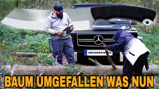 Das Messerabenteuer im Wald beginnt mit einem umgefallenen Baum [upl. by Noe]