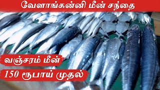 VELANKANNI FISH MARKET  NAGAPATTINAM  TAMIL VLOG  Ave Maria [upl. by Eldred]