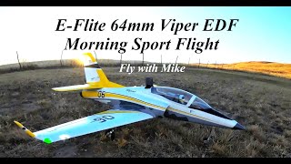 EFlite 64mm Viper From the Cockpit Sport Flight Fly with Mike [upl. by Airtap]