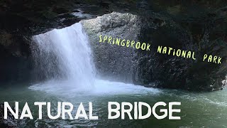 Natural Bridge  Springbrook National Park  Gold Coast Australia [upl. by Elazaro]