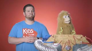 PUPPETS JESUS HEALS JAIRUS DAUGHTER BIBLE STORY  Kids on the Move [upl. by Nithsa]