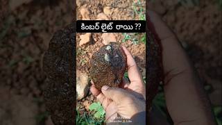 Kimberlite rock vajrakarur rocks nature [upl. by Sesmar]