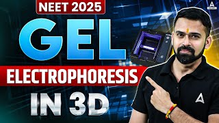 Gel Electrophoresis in 3D  How Gel Electrophoresis Works  NEET 2025  Vishal Sir [upl. by Raycher]