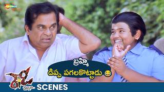 Chitti Nayudu Bharath Superb Comedy Scene  Ready Movie Best Scenes  Brahmanandam  Ram Pothineni [upl. by Croom]