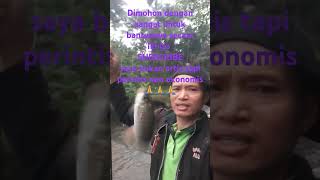 Masih mancingikanwaderdisungai viralvideo video viralshort viralshort vlog trending funny [upl. by Siuol]