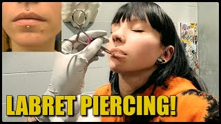 Getting My LABRET Pierced  amp The First Week Healing [upl. by Armahs]