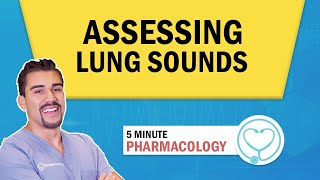 Lung Auscultation Locations Assessment Patho for Nursing students  NCLEX [upl. by Staffard]