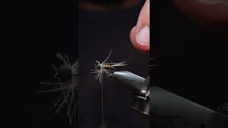 Try This Universal Fly Pattern flyfishinglife shots flytyingforbeginners trout [upl. by Ahtaela]