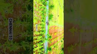 Tiruvannamalai Hidden Fallsurgoundanur Falls Chengam …part 1 … [upl. by Schick]