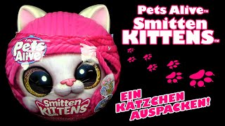 Zuru ® Pets Alive ™ Smitten Kittens ™ Kätzchen auspacken mit Sound  Flasche  Streu  Stickers etc [upl. by Adnaw]