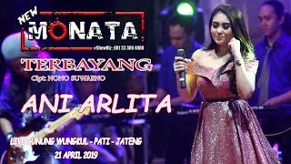 TERBAYANG  ANI ARLITA  NEW MONATA  RAMAYANA AUDIO [upl. by Aneeram]