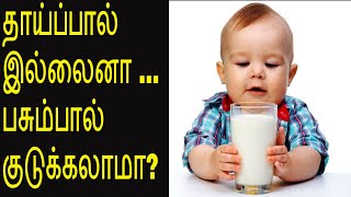 பசும்பால் கொடுக்கலாமா IS COWS MILK SAFE FOR A BABY [upl. by Yewed627]