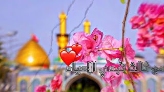 من ثالث تبدي الاعياد بسم حسين اول ميلاد ستوريات مولد الامام الحسينع 😇🌺 [upl. by Arayk]