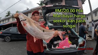 RM72000 POK MAN BAYAR HARGA SEEKOR PATIN SUNGAI [upl. by Htebilil]