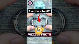 How to solve Round ring puzzle  Puzzle Facts  Hand craft ideas puzzle shorts [upl. by Emsoc]