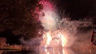 Epcot Fireworks Celebration Disney Vacation Club Members Moonlight Magic [upl. by Peggir]